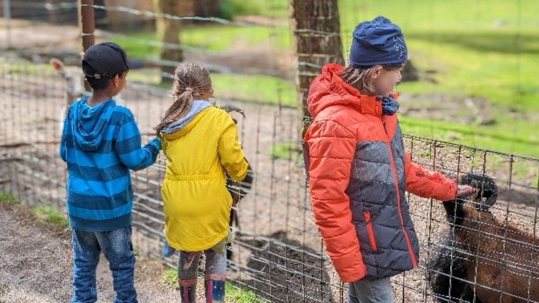 Drei Kinder stehen an einem Drahtzaun auf einem Bauernhof oder in einem Streichelzoo. Ein Kind in roter Jacke und blauer Mütze streckt die Hand nach einem Tier aus, vermutlich einer Ziege. Das mittlere Kind trägt einen gelben Regenmantel und bunte Gummistiefel, das linke Kind eine blaue gestreifte Kapuzenjacke und eine schwarze Mütze. Im Hintergrund sind Bäume, Grasflächen und Holzbauten zu sehen